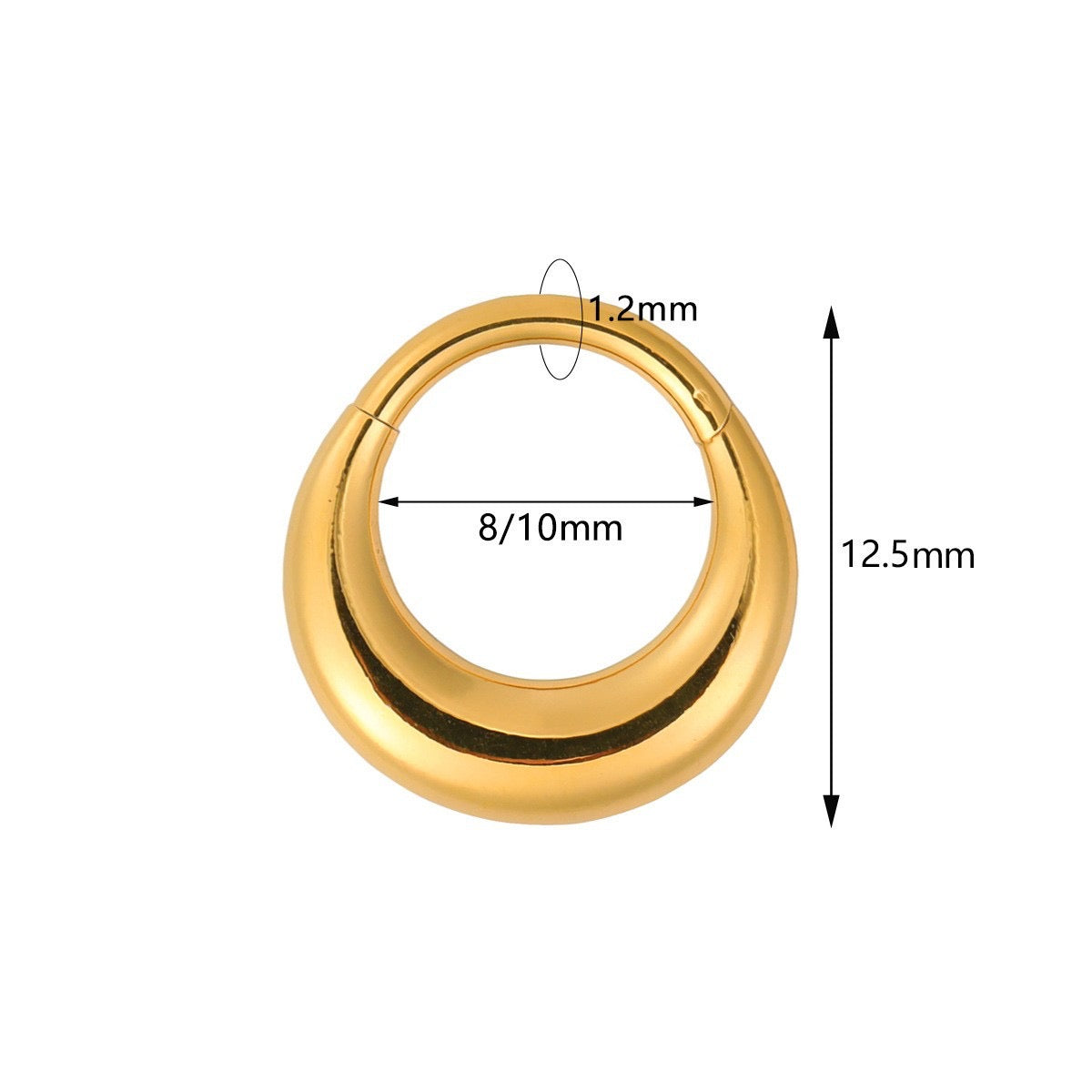 Polished Rounded Thick Hoop Hinged Piercing Ring 
